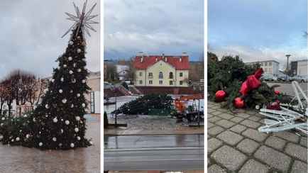 Штормовой ветер устроил ёлкопад в Беларуси и Литве. К чему ещё готовиться?