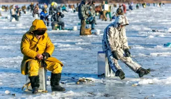 Штраф до 1200 BYN или «уголовка». В Беларуси ввели запрет на ловлю налима. Надолго?