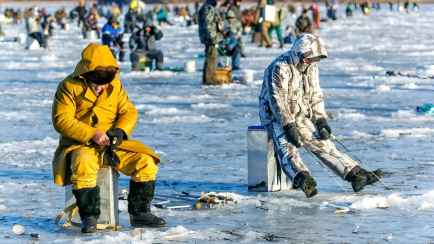 Штраф до 1200 BYN или «уголовка». В Беларуси ввели запрет на ловлю налима. Надолго?