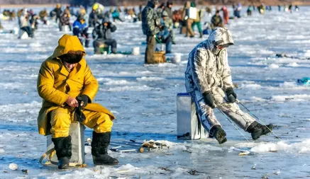 Штраф до 1200 BYN или «уголовка». В Беларуси ввели запрет на ловлю налима. Надолго?