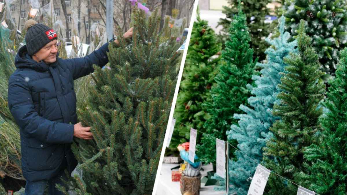 Какую ёлку поставить на Новый год — живую или искусственную? Собрали все плюсы и минусы для тех, кто сомневается