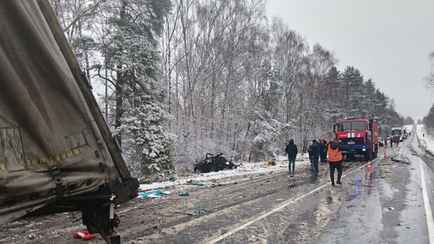 ГАИ привлекла к ответственности за скользкие дороги 19 должностных лиц после аварии на Могилёвщине, в которой погибла семья