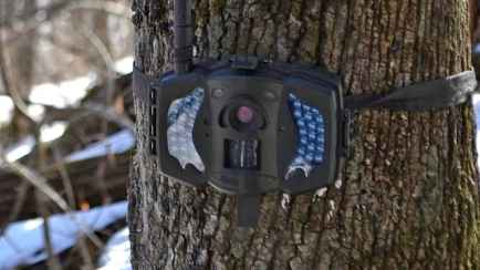 Штраф — до 1200 рублей. Гослесохрана начала 23-дневные рейды по лесам Минщины и не только. Где камеры?