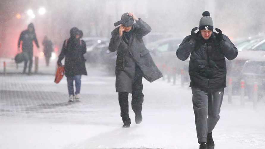 Фото иллюстрационное