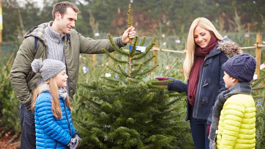 Фото иллюстрационное