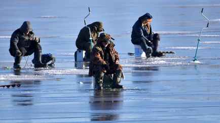 Белорусским блогерам-рыбакам решили предложить сотрудничать с ОСВОД. Почему те «не особо рады»?