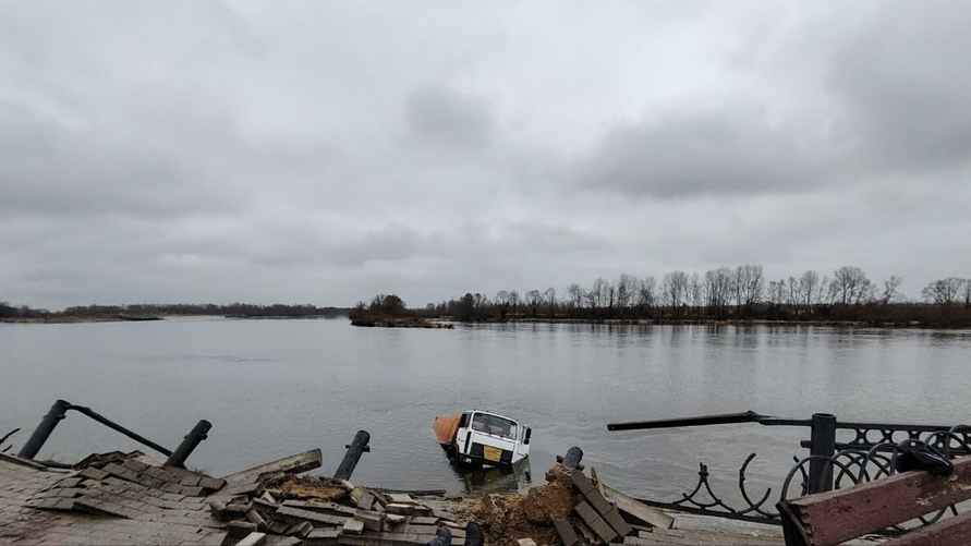 Фото: ОСВОД Гомельской области