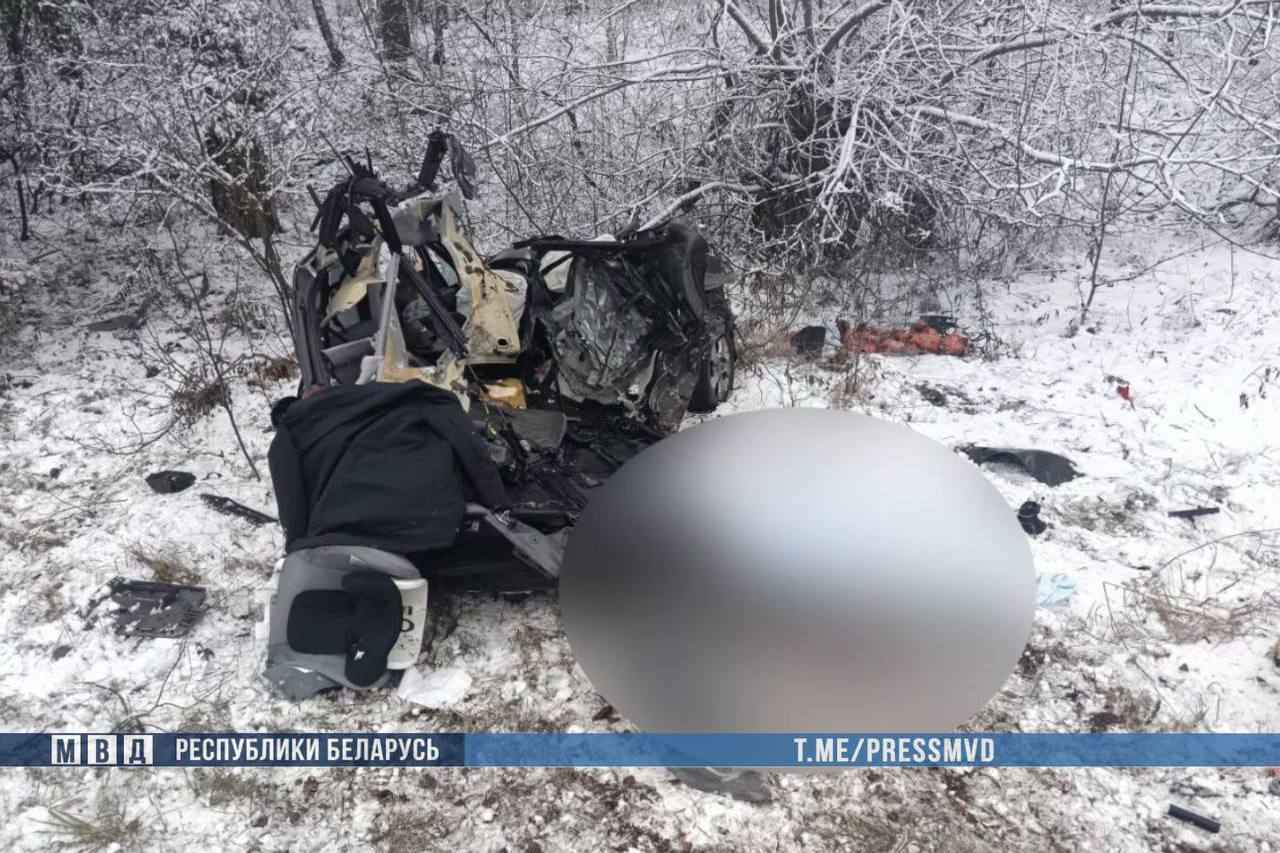ГАИ привлекла к ответственности за скользкие дороги 19 должностных лиц после аварии на Могилёвщине, в которой погибла семья