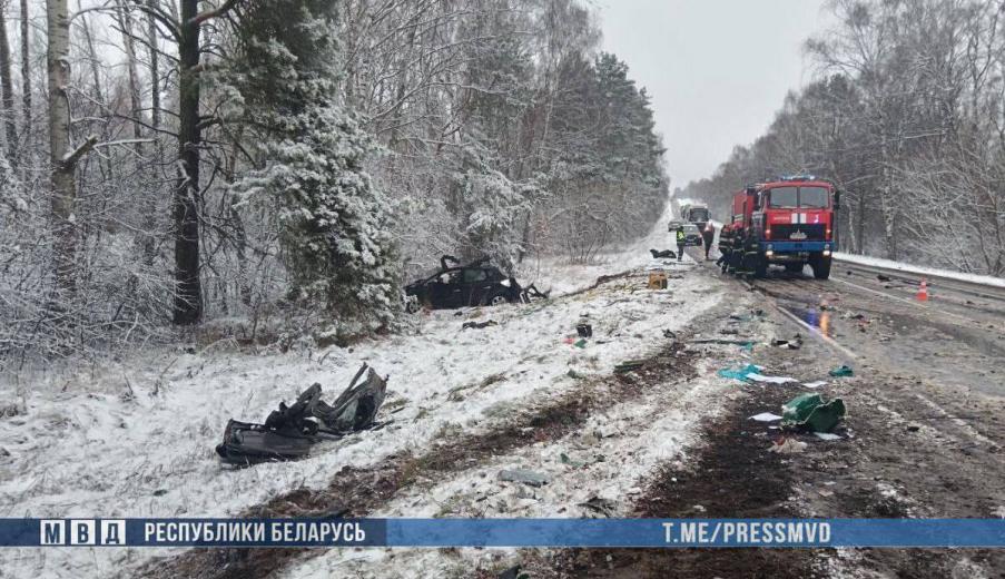 ГАИ привлекла к ответственности за скользкие дороги 19 должностных лиц после аварии на Могилёвщине, в которой погибла семья