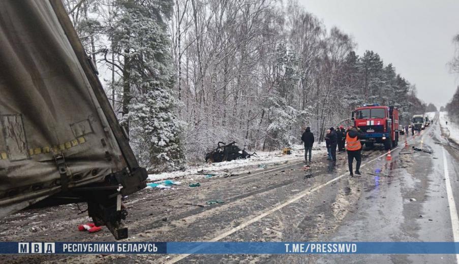 ГАИ привлекла к ответственности за скользкие дороги 19 должностных лиц после аварии на Могилёвщине, в которой погибла семья