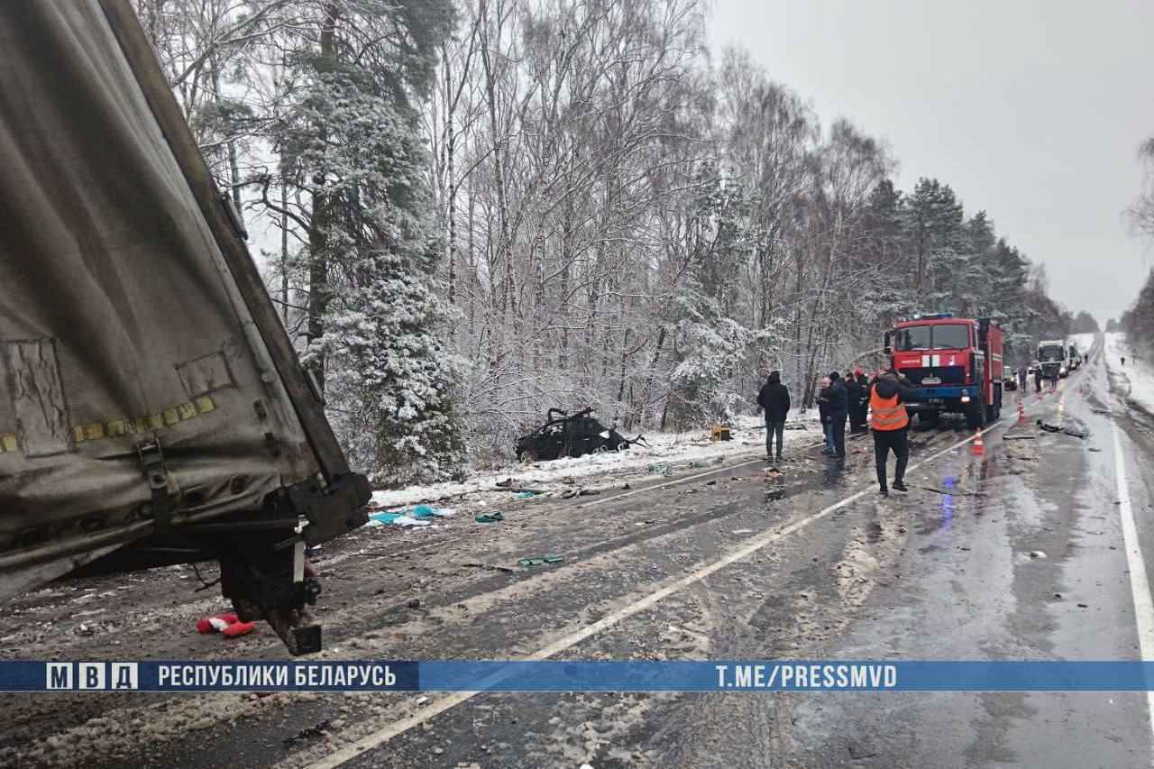 ГАИ привлекла к ответственности за скользкие дороги 19 должностных лиц после аварии на Могилёвщине, в которой погибла семья