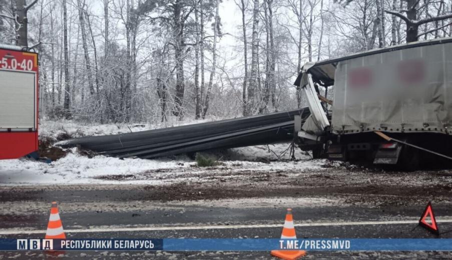 ГАИ привлекла к ответственности за скользкие дороги 19 должностных лиц после аварии на Могилёвщине, в которой погибла семья