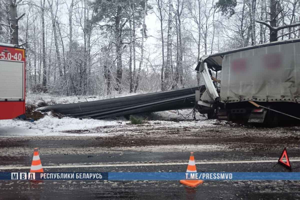ГАИ привлекла к ответственности за скользкие дороги 19 должностных лиц после аварии на Могилёвщине, в которой погибла семья