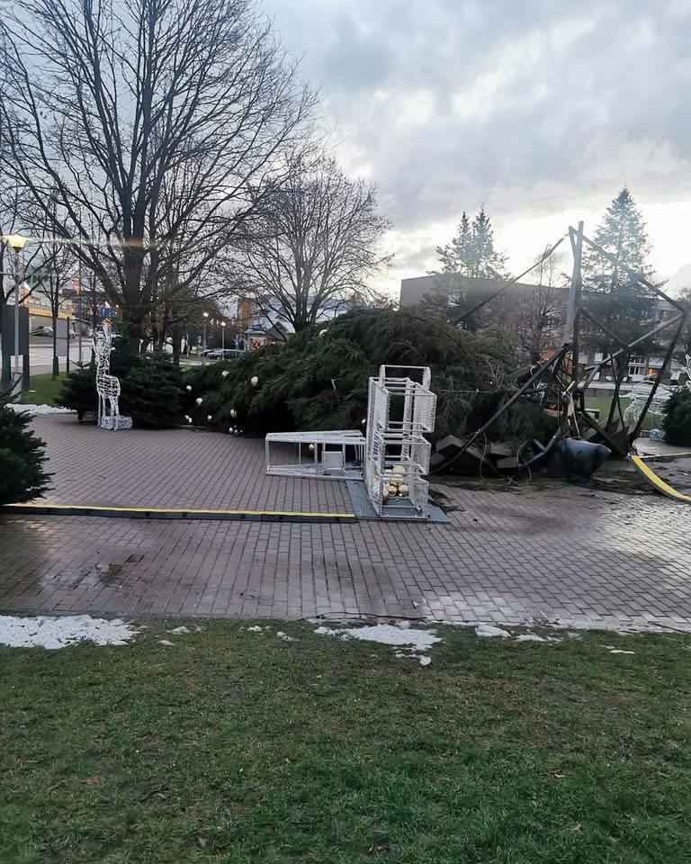 Штормовой ветер устроил ёлкопад в Беларуси и Литве. К чему ещё готовиться?