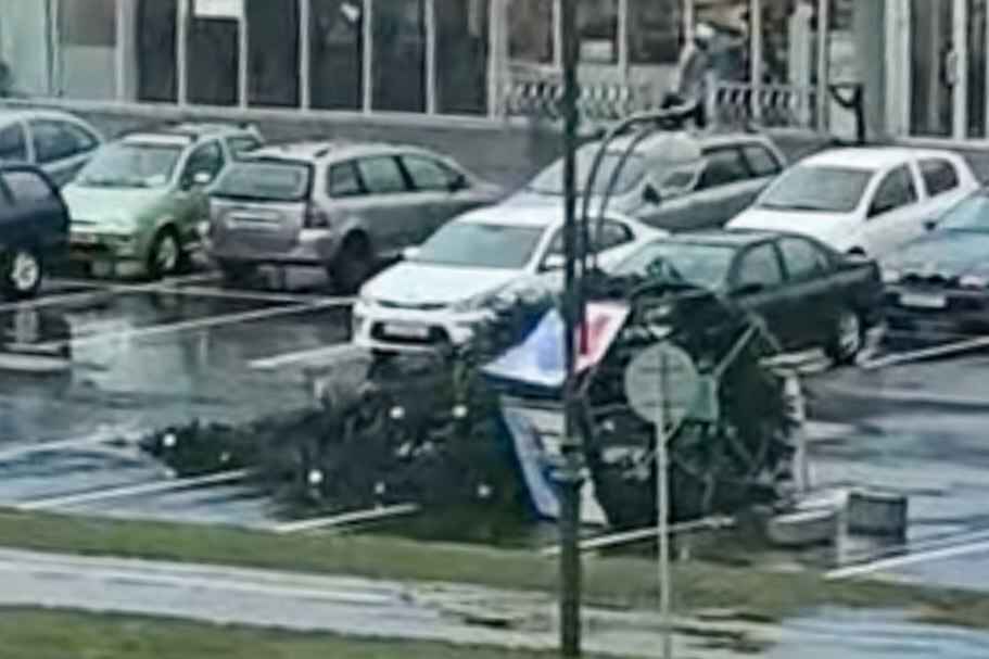 Штормовой ветер устроил ёлкопад в Беларуси и Литве. К чему ещё готовиться?