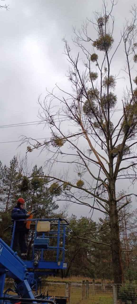 Энергетики отчитались о восстановлении электроснабжения по всей Беларуси