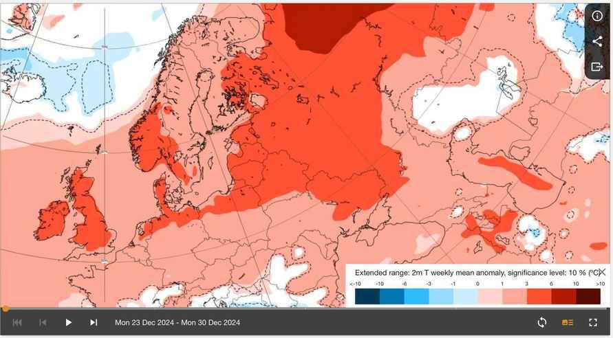 Будет ли на Новый год снег в Беларуси? Модель ECMWF показала, когда ждать волну декабрьской жары