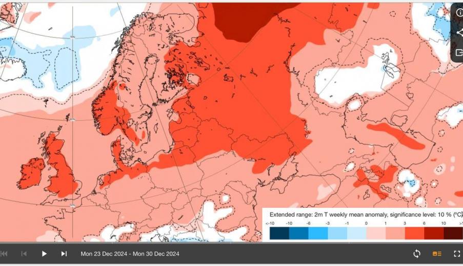 Будет ли на Новый год снег в Беларуси? Модель ECMWF показала, когда ждать волну декабрьской жары