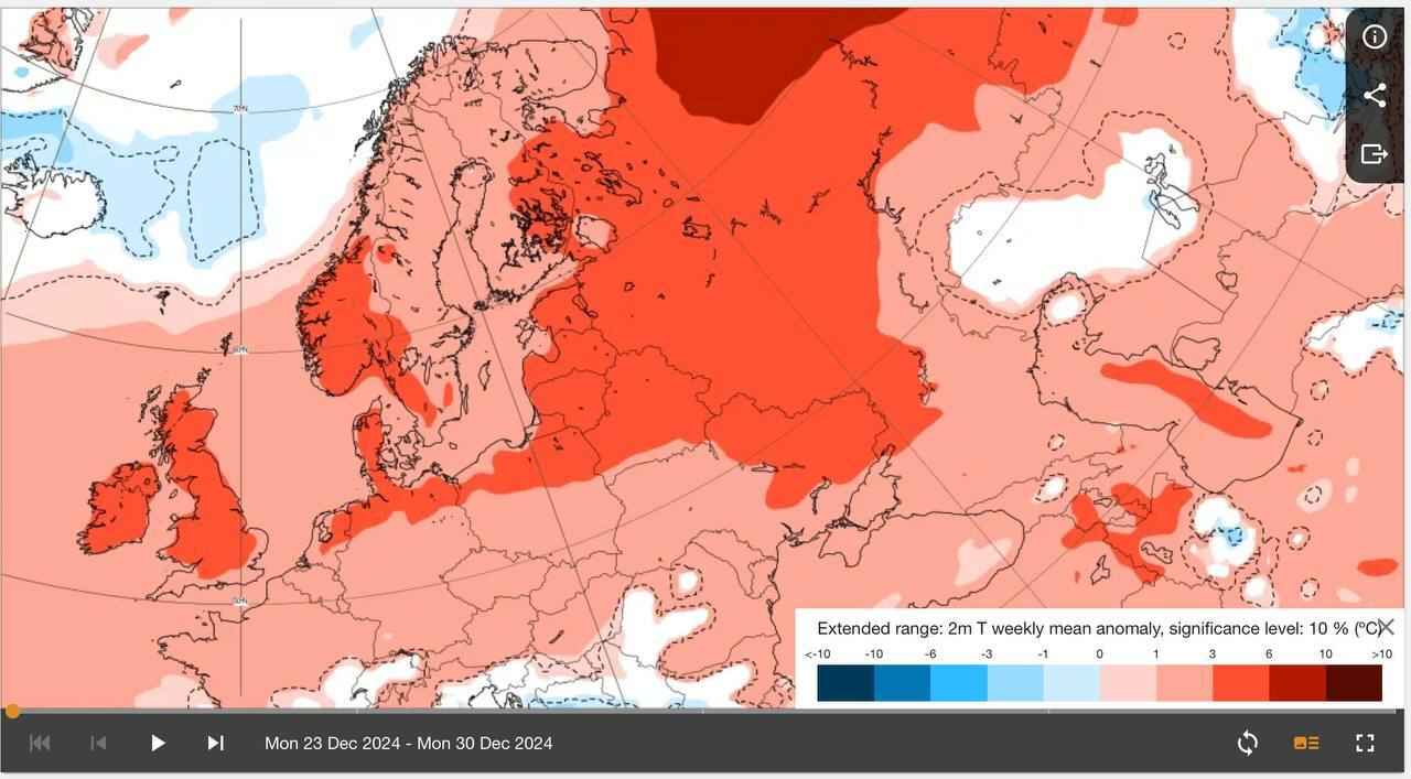 Будет ли на Новый год снег в Беларуси? Модель ECMWF показала, когда ждать волну декабрьской жары