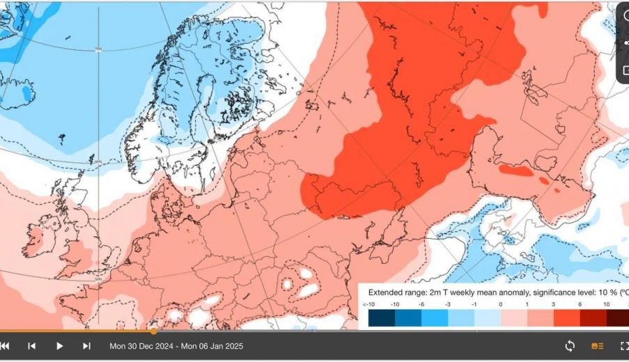 Будет ли на Новый год снег в Беларуси? Модель ECMWF показала, когда ждать волну декабрьской жары