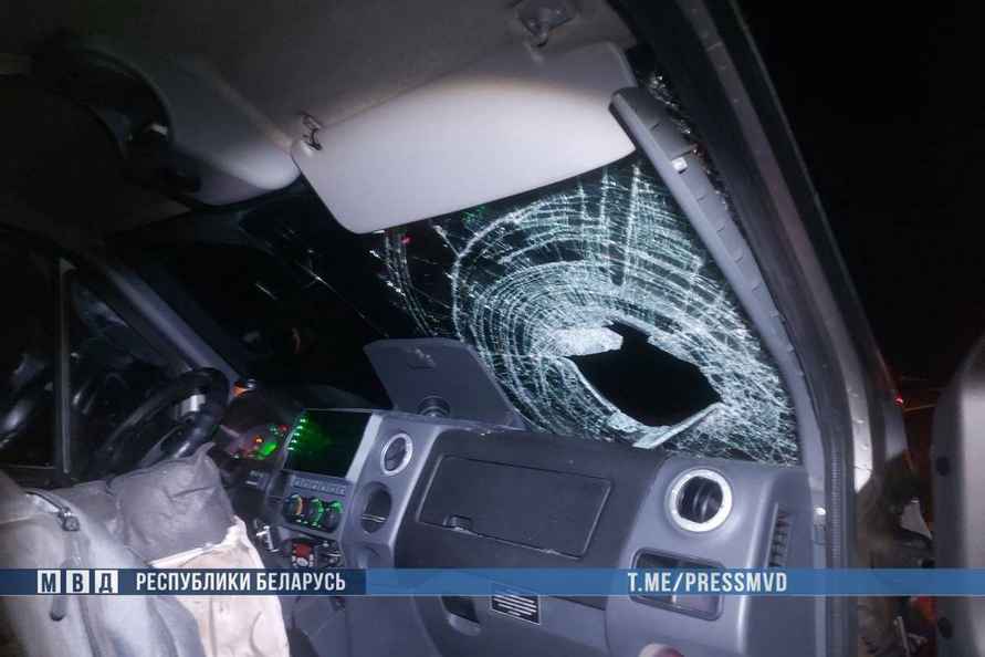 На Гомельщине «Газель» сбила сразу трёх пешеходов