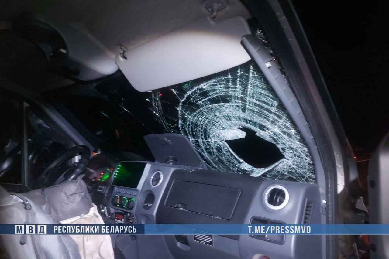 На Гомельщине «Газель» сбила сразу трёх пешеходов