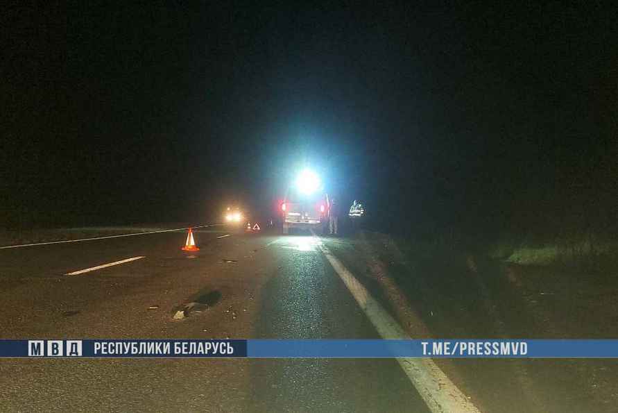 На Гомельщине «Газель» сбила сразу трёх пешеходов