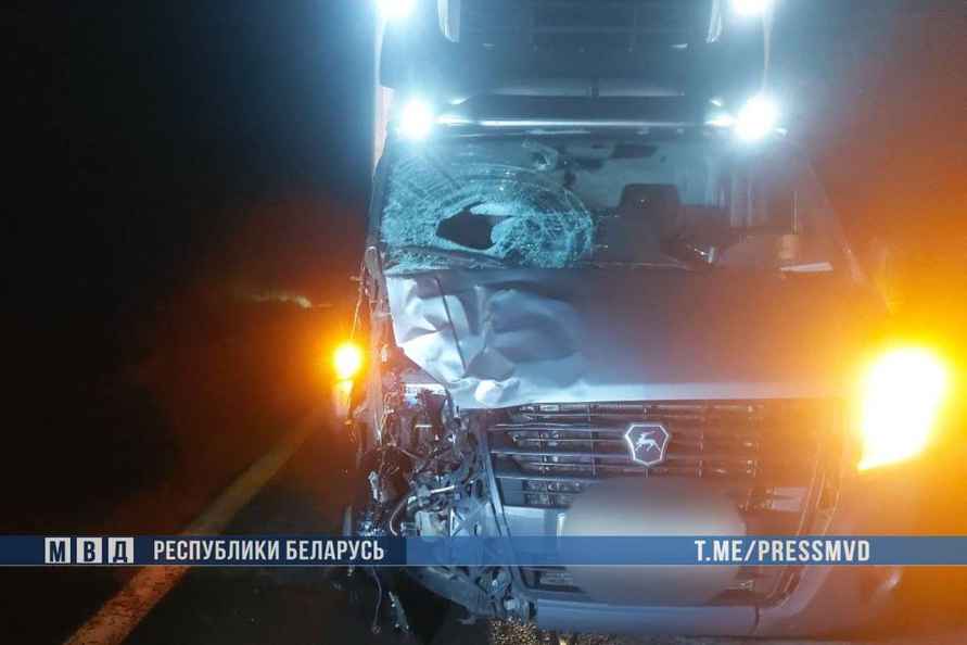 На Гомельщине «Газель» сбила сразу трёх пешеходов