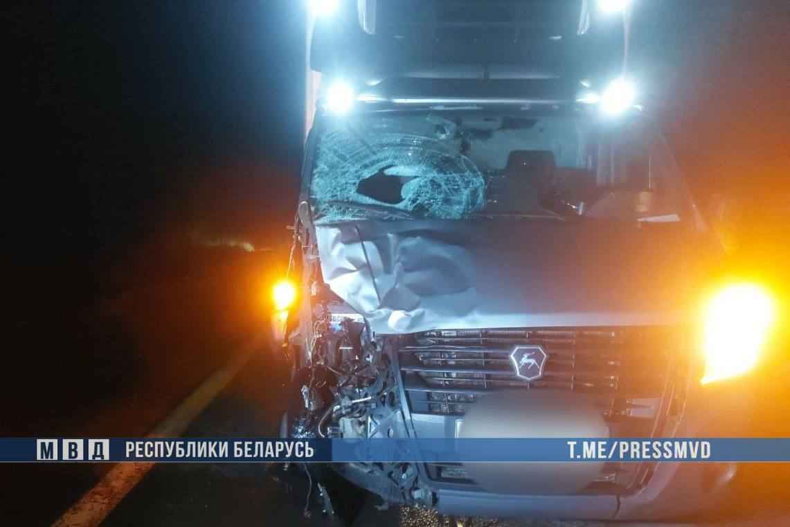 На Гомельщине «Газель» сбила сразу трёх пешеходов