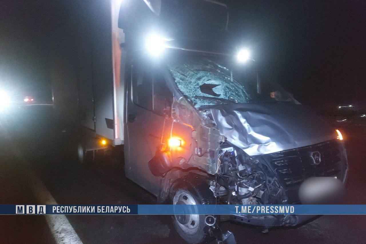 На Гомельщине «Газель» сбила сразу трёх пешеходов