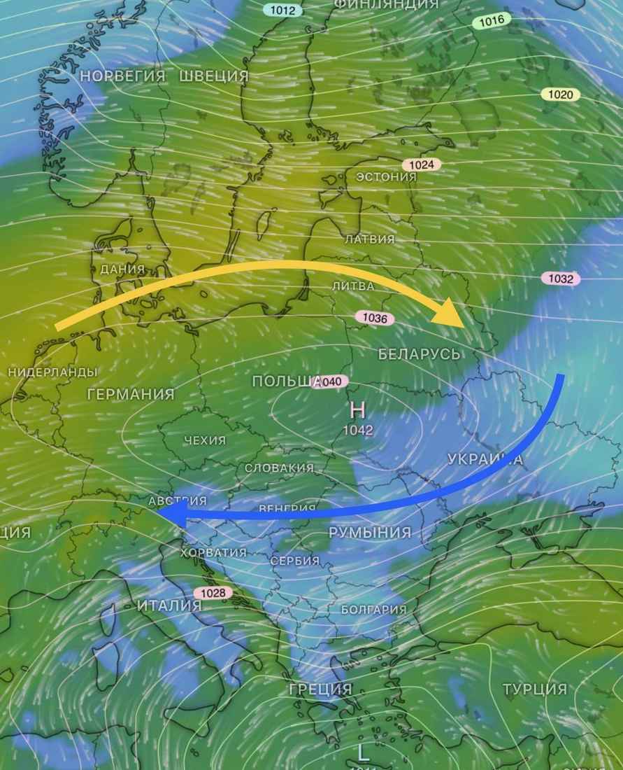 Новый год с зелёными газонами? Синоптики спрогнозировали Беларуси новую волну потепления до +6°С
