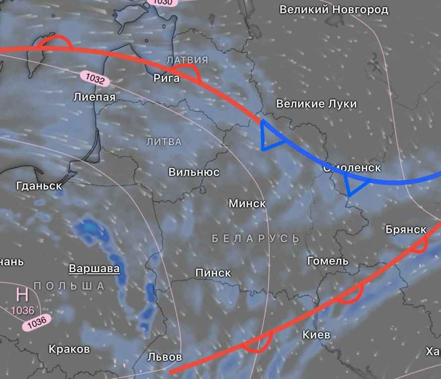 Новый год с зелёными газонами? Синоптики спрогнозировали Беларуси новую волну потепления до +6°С