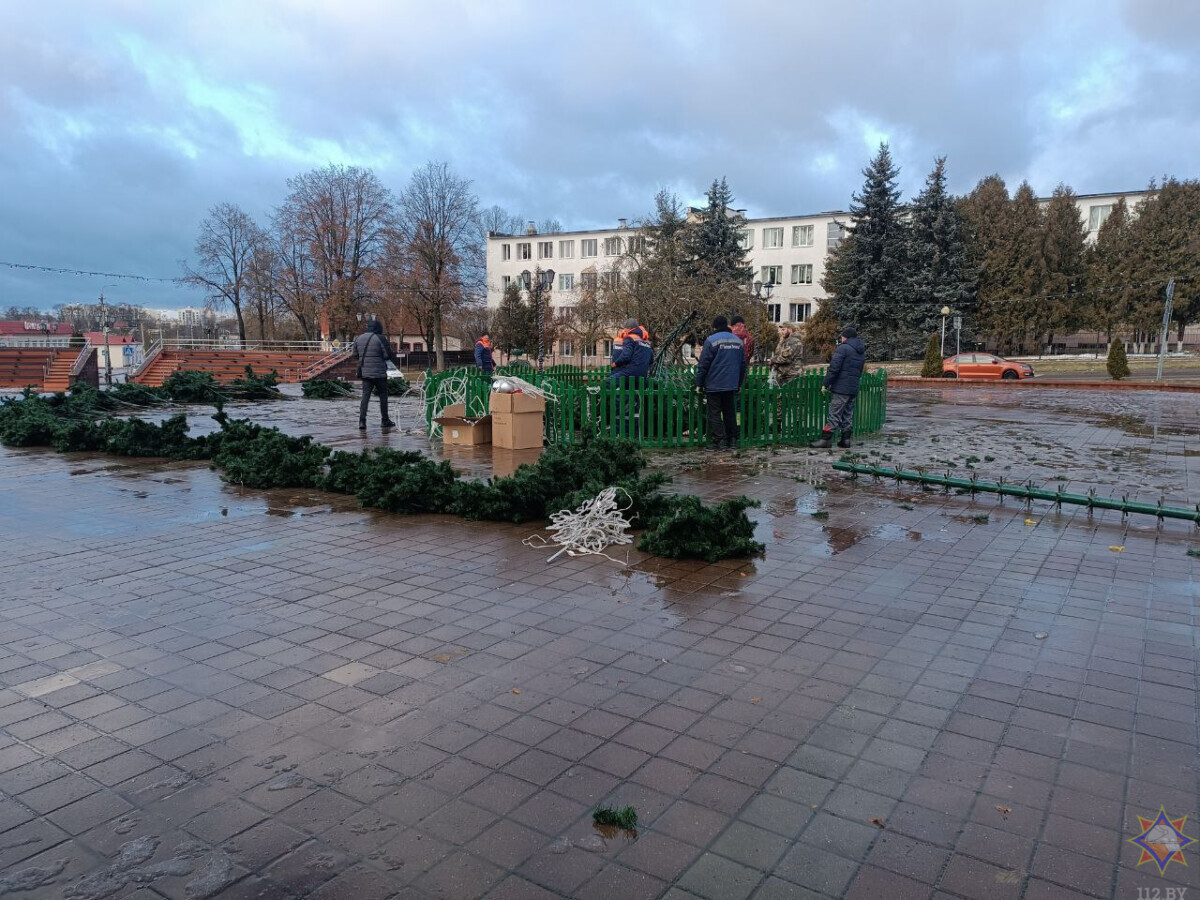 Не только упавшие елки. В МЧС назвали количество населенных пунктов в Беларуси, пострадавших от непогоды