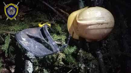 В Лунинецком районе ель обрушилась на рабочего — он погиб