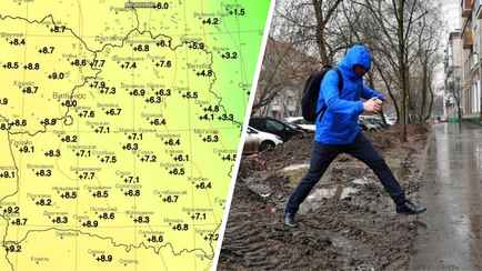 Вместо декабря апрель? Температура в Беларуси превысила норму на 10°C. Что будет дальше?