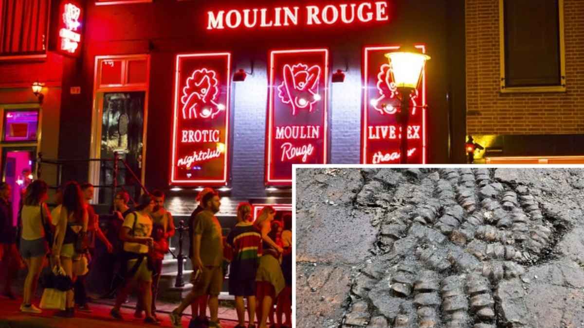 Голландские археологи нашли древний пол из костей на "улице красных фонарей". Чьи это останки?