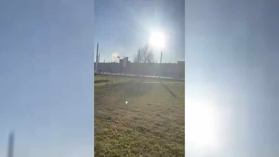 "Скоро клубнику будем собирать" - В одном из городов Беларуси в декабре зацвели одуванчики