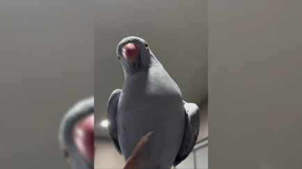 «Всё это очень сложно…» — Госпогранкомитет за 30 секунд ответил белорусам на «самые популярные вопросы» о пересечении границы