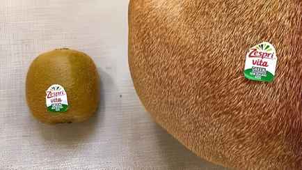 Эта фотография с «гигантским киви» развеселила пользователей Facebook. Сможете угадать, что это?