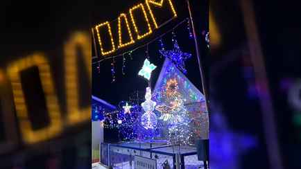 «Перебор» или «чудо дивное»? Жители частного дома на Минщине превратили свой двор в «сказочное поместье»