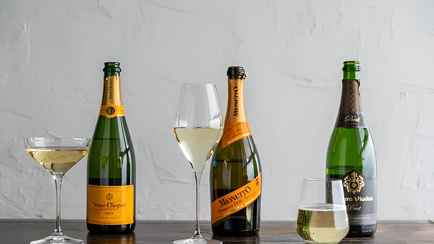 Как выбрать хорошее игристое вино? Разобрались, чем отличаются кава, просекко, ламбруско и шампанское