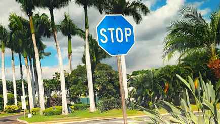 Только в одном месте на Земле можно встретить синие знаки «Стоп». Что означают и почему не красные?