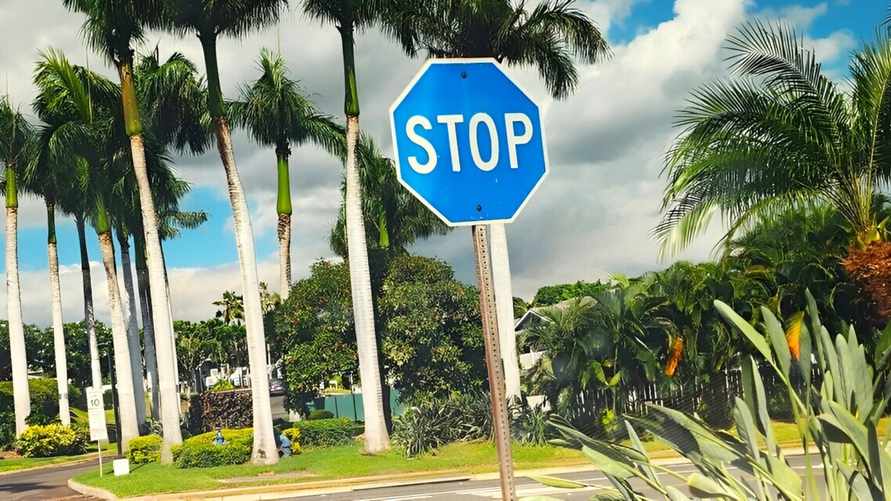 Только в одном месте на Земле можно встретить синие знаки "Стоп". Что означают и почему не красные?