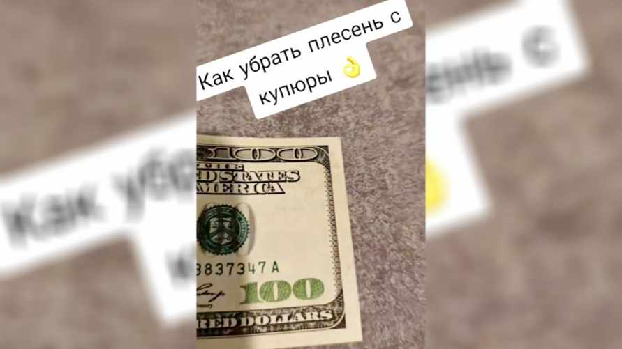 "Скоро химанализ будут делать" - Белорусам предложили мыть доллары с плесенью отбеливателем. Что с этой "хитростью" не так?
