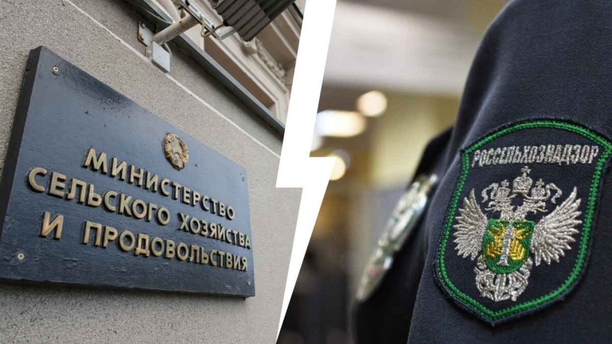 "Деструктивные источники" - Минсельхозпрод Беларуси назвал "фейком" сообщение Россельхознадзора о кишечной палочке в белорусском сыре