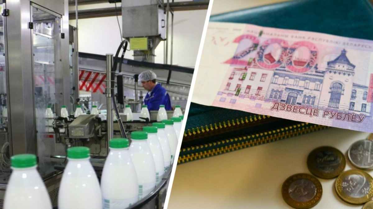 Зарплаты - до 6962 рублей. Белорусские молокозаводы опубликовали почти 500 вакансий. Кого ищут?