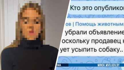 Минчанка отдала «живодеру» больше 800 рублей для выкупа своей собаки. Что произошло?