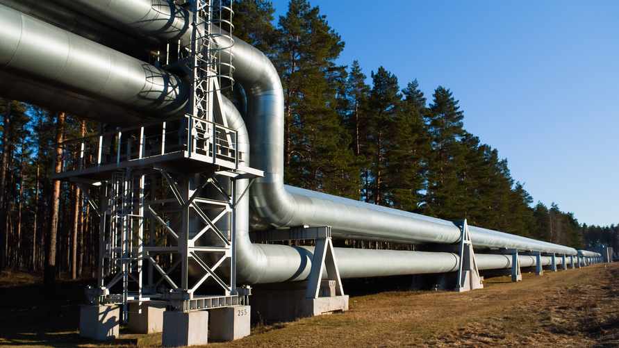 Фото иллюстрационное