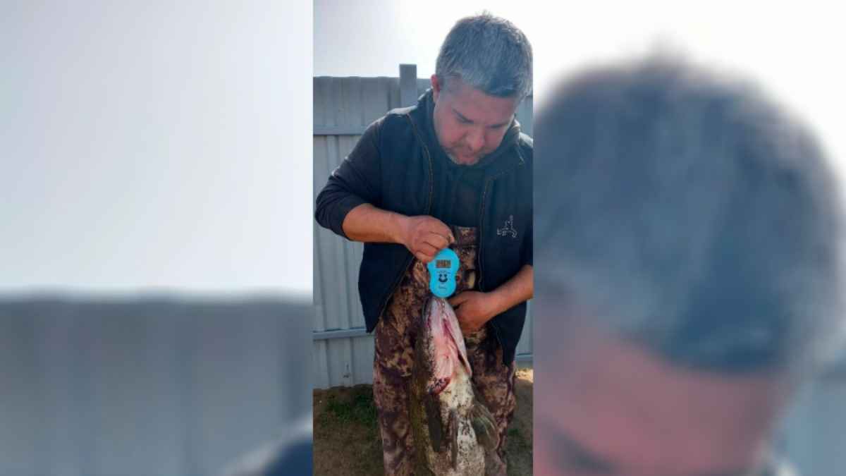 Рекорд для Беларуси? Могилевчанин поймал на Днепре судака весом почти 9 кг