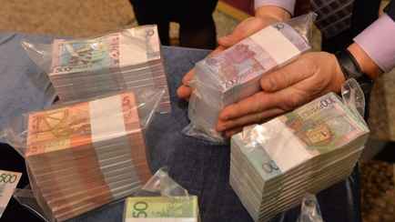 Совмин выделил дополнительные 8,7 млн рублей на зарплаты сотрудников Минлесхоза